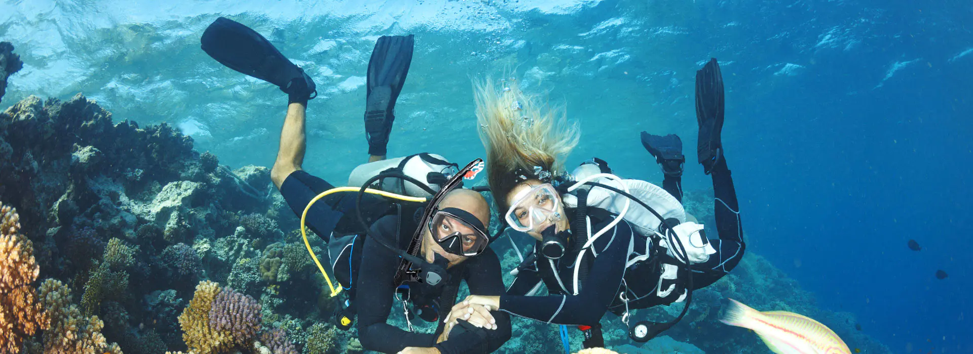 डाउनलोड करना