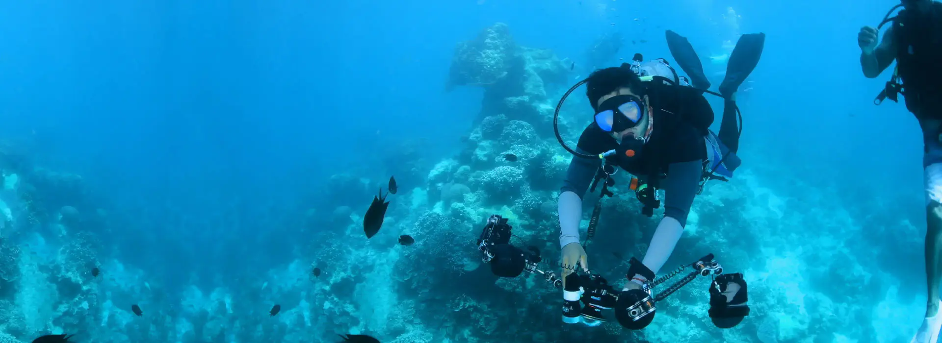 हमसे संपर्क करें